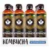Kombucha Puhdistamo cola 0,37 L /12-pack (pantti ei sis) - maitohappobakteereita sisältävä juoma