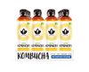 Kombucha Puhdistamo inkivääri-sitruuna 0,37 L /12-pack (pantti ei sis) - sis. maitohappobakteereita
